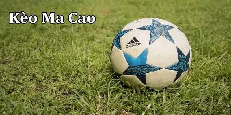 Cách đọc kèo Ma Cao chi tiết cho bet thủ