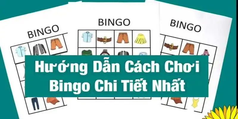 Cách chơi Bingo trực tuyến tại MK Sports