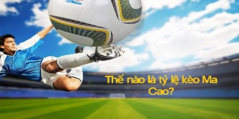 Khám phá tỷ lệ kèo Ma Cao tại MK Sports