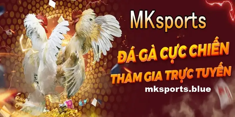 Đá Gà – Tại MK sports